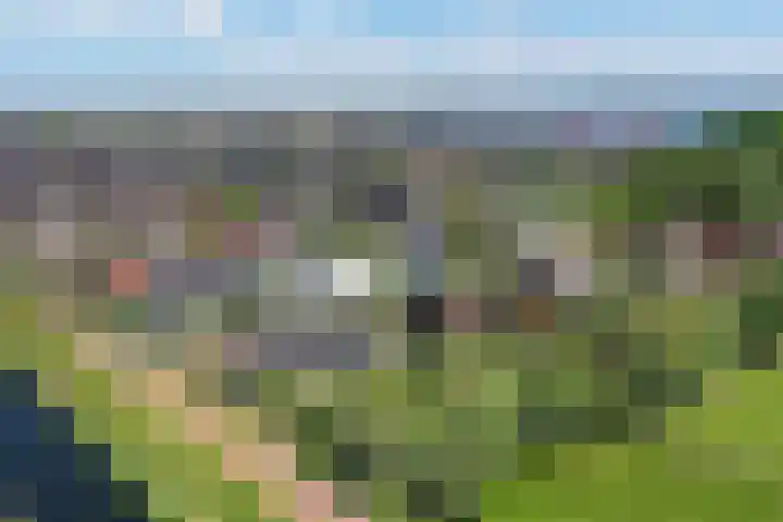 Kobalt 6 Zeewolde thumbnail 67