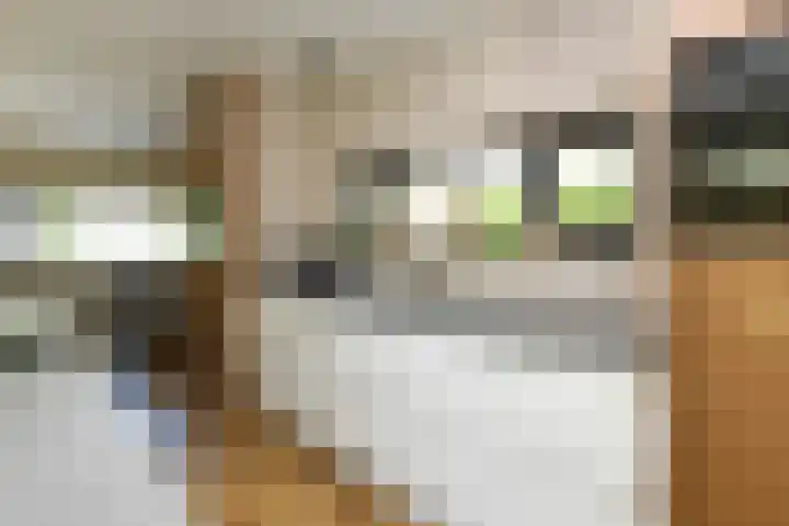 Kobalt 6 Zeewolde thumbnail 8