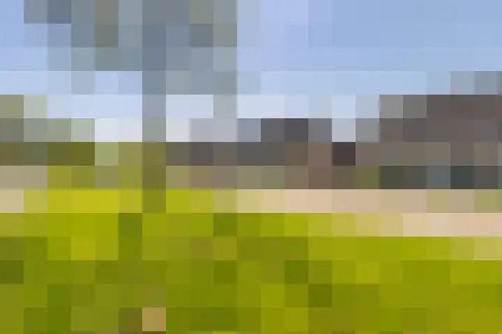 Kobbe 45 Dokkum thumbnail 10