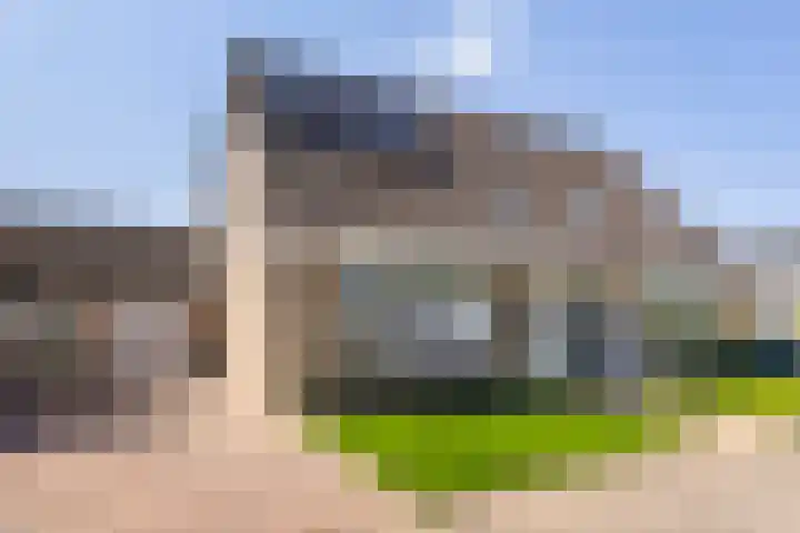 Kobbe 45 Dokkum thumbnail 11