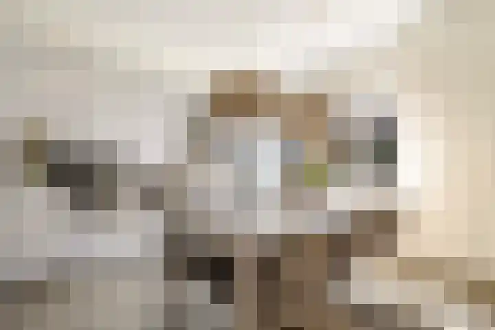 Kobbe 45 Dokkum foto 2
