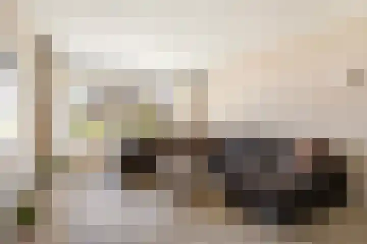 Kobbe 45 Dokkum thumbnail 22