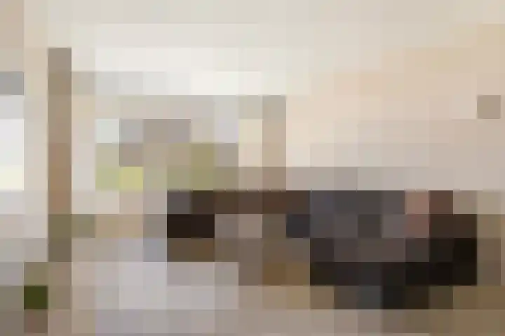 Kobbe 45 Dokkum foto 3