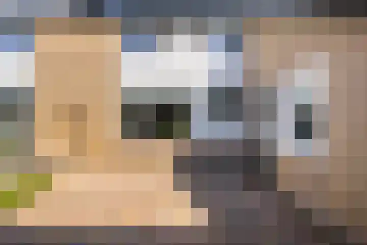 Kobbe 45 Dokkum thumbnail 38