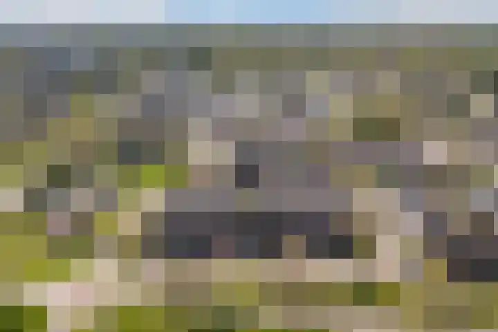 Kobbe 45 Dokkum thumbnail 5