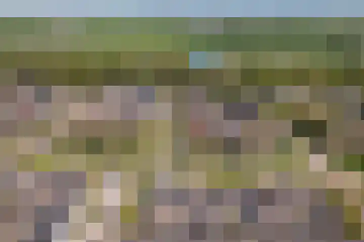 Kobbe 45 Dokkum thumbnail 6