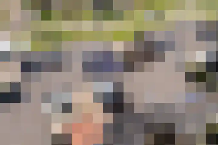 Kobbe 45 Dokkum thumbnail 7