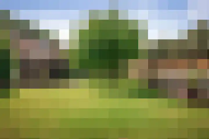 Koedijk 22 Lochem thumbnail 13