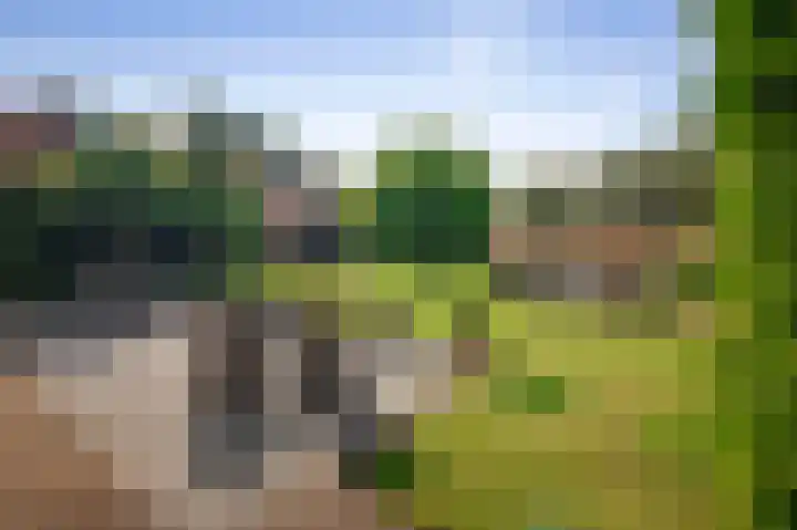 Koedijk 22 Lochem thumbnail 39
