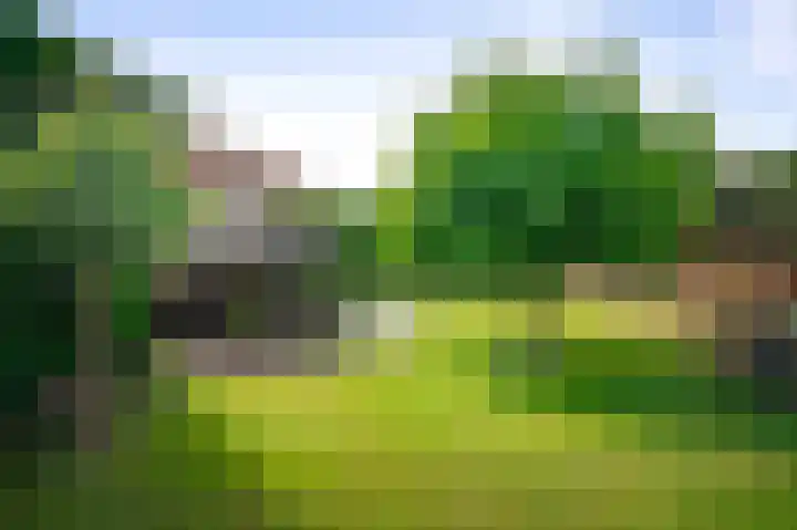 Koedijk 22 Lochem thumbnail 4