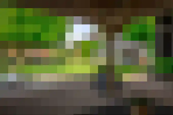Koedijk 22 Lochem thumbnail 40