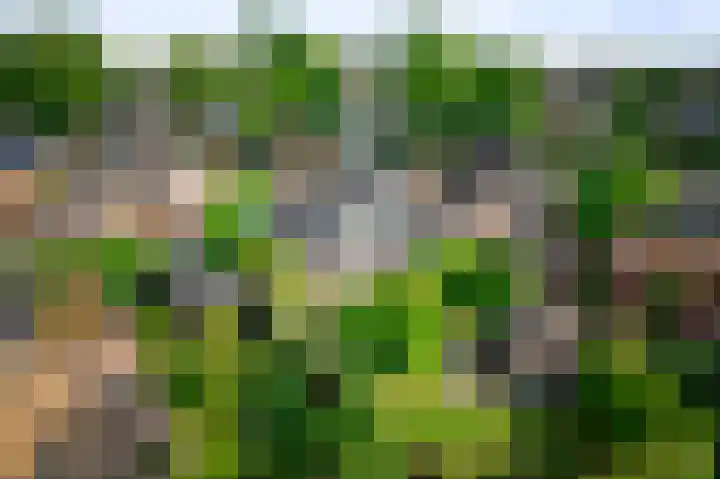 Koedijk 22 Lochem thumbnail 42