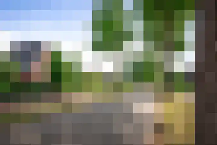 Koedijk 22 Lochem thumbnail 47