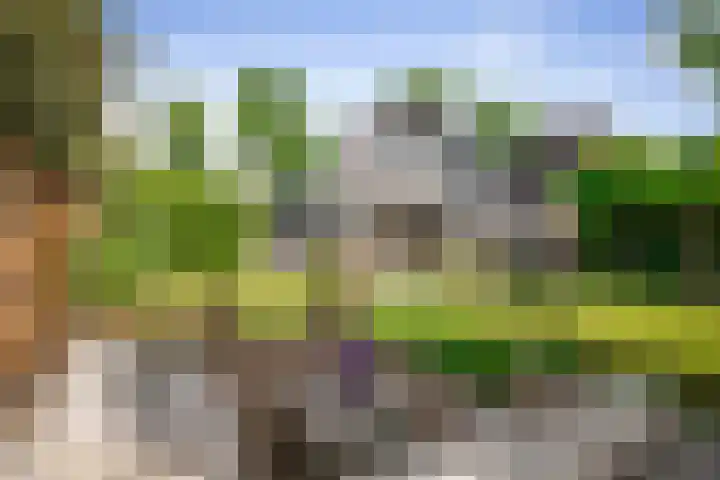 Koedijk 22 Lochem thumbnail 51