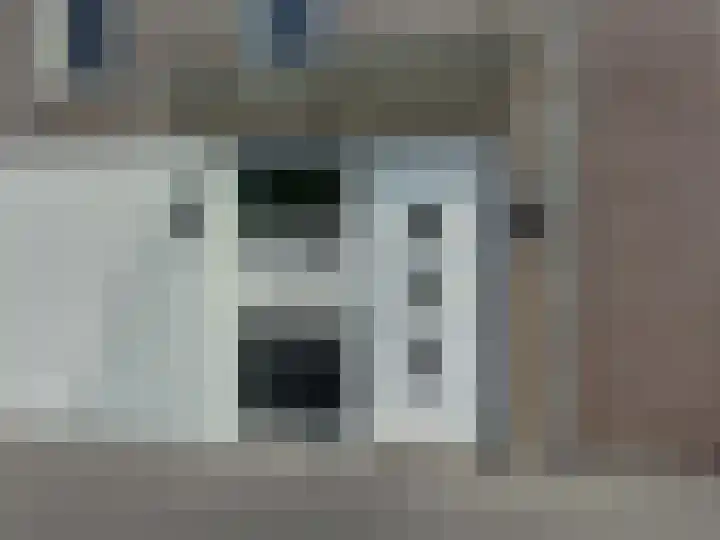 Koedijkje 45 Coevorden thumbnail 16