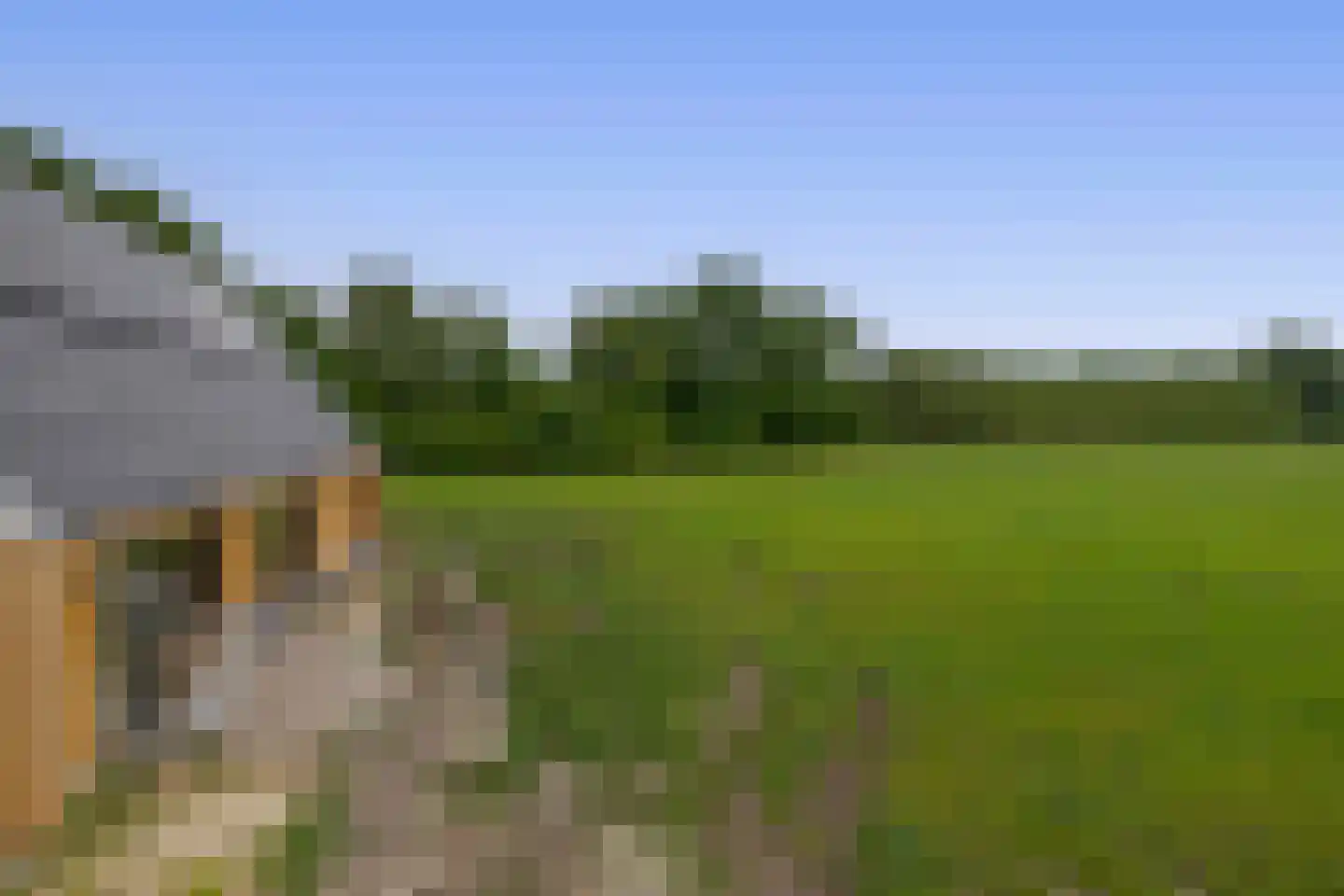 Koedrift 11 IJhorst thumbnail 45