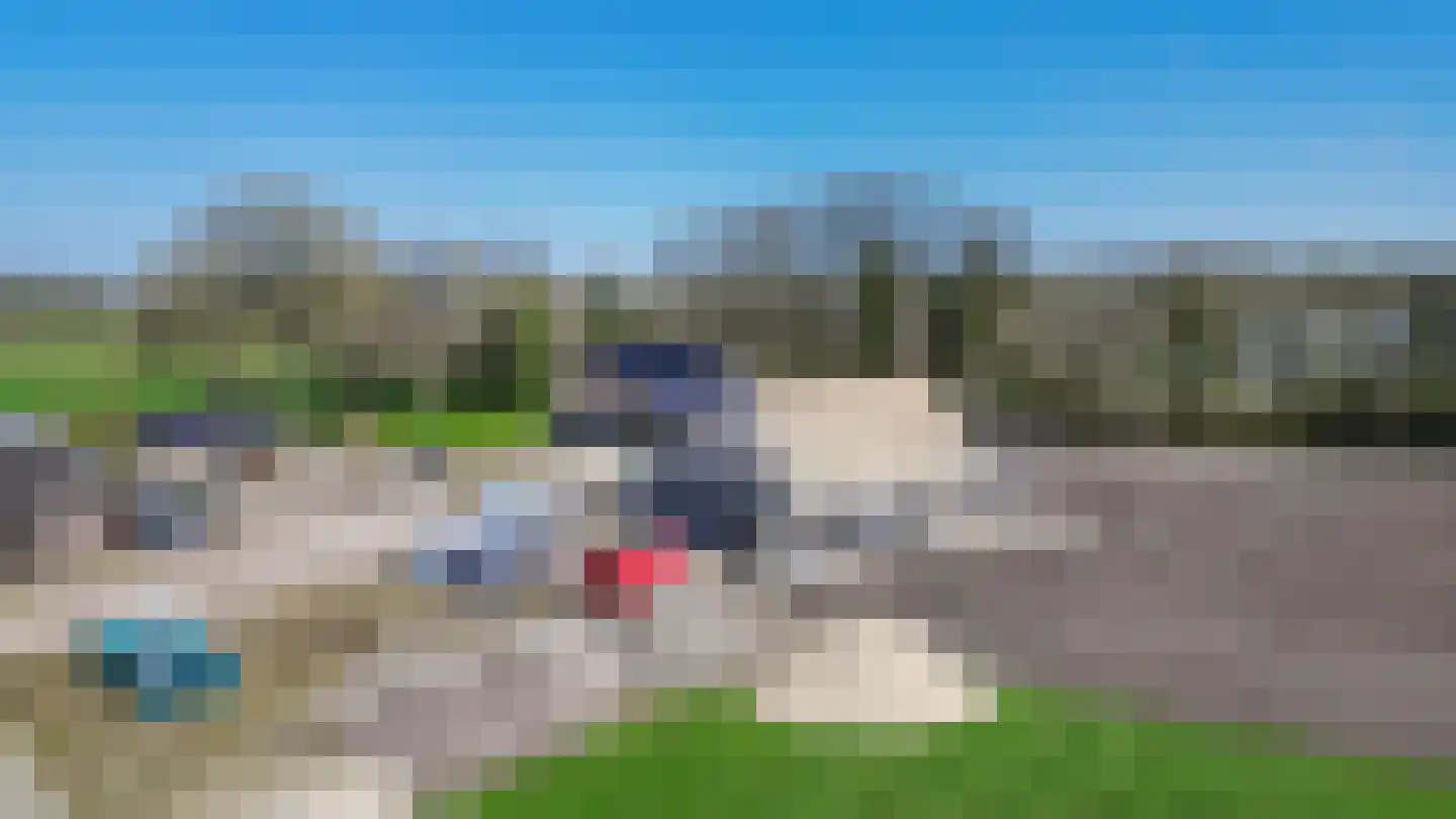 Koedrift 11 IJhorst thumbnail 84