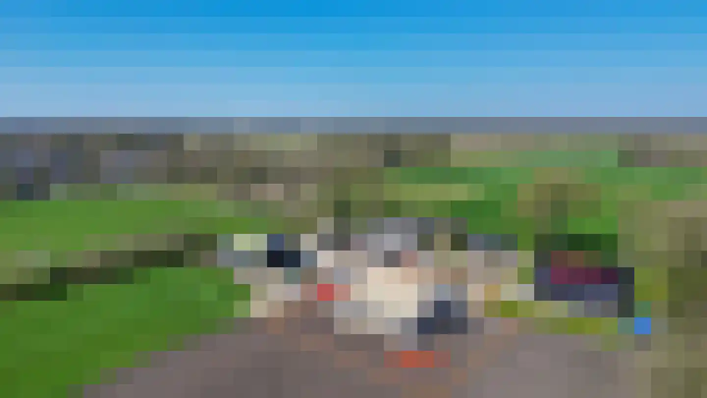 Koedrift 11 IJhorst thumbnail 88