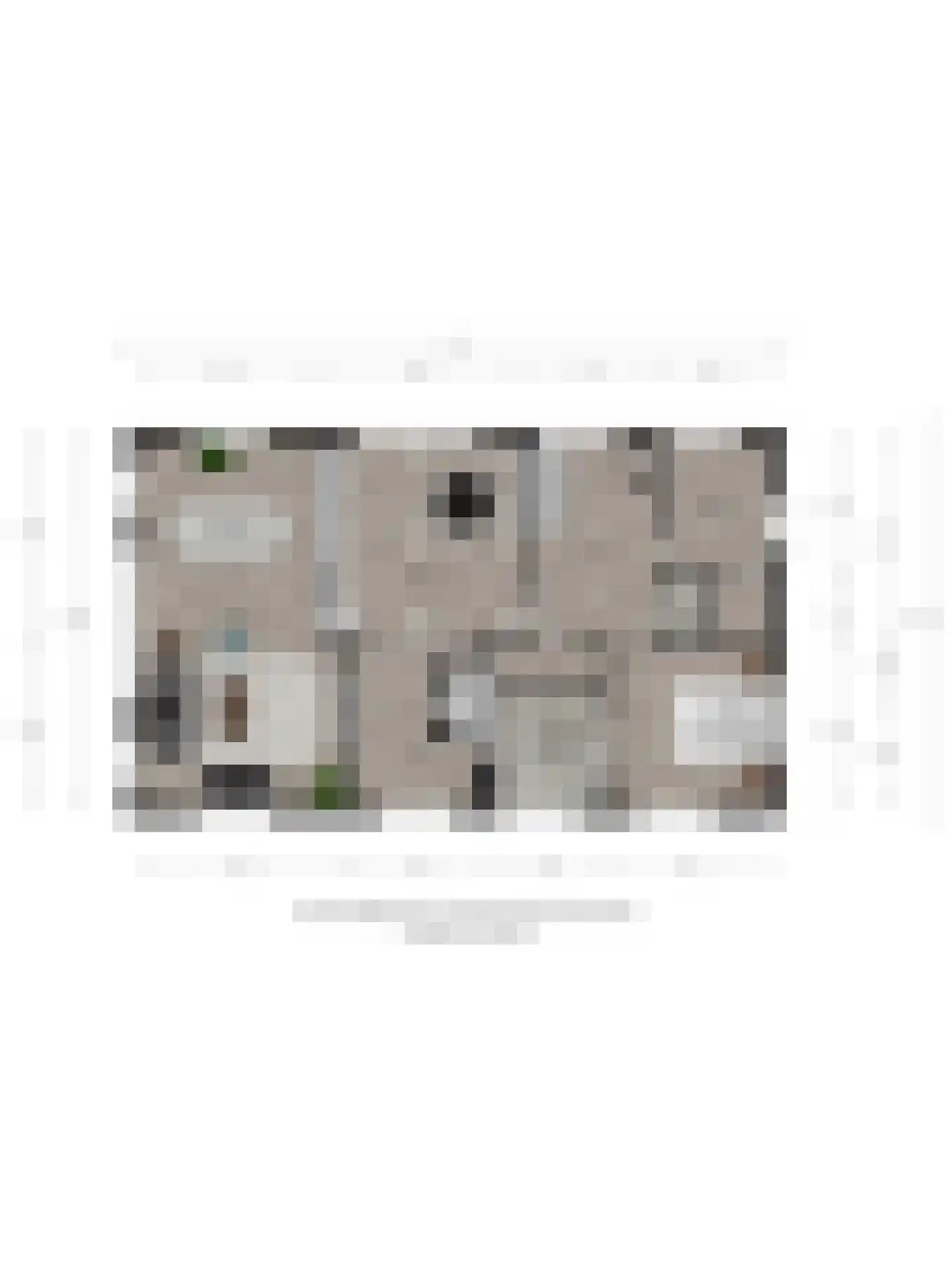 Koedrift 11 IJhorst thumbnail 94