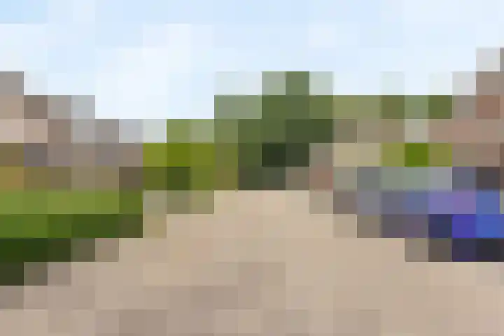 Koeherderwei 8 Valkenswaard thumbnail 24