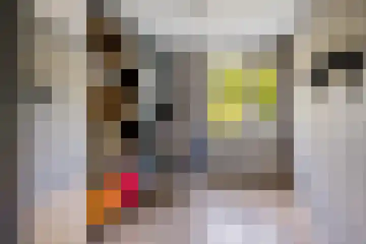 Koekamp 88 Delft thumbnail 14