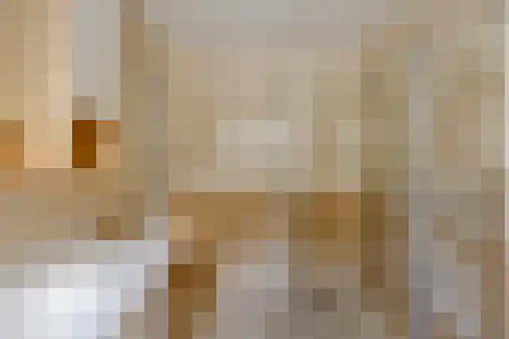 Koekamp 88 Delft thumbnail 15