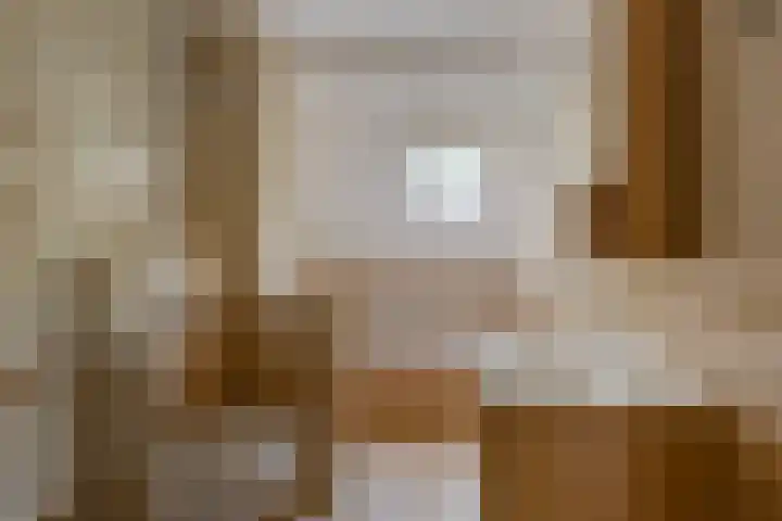 Koekamp 88 Delft thumbnail 16