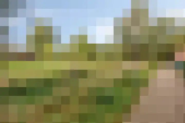Koekamp 88 Delft thumbnail 22