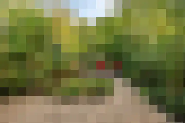 Koekamp 88 Delft thumbnail 23