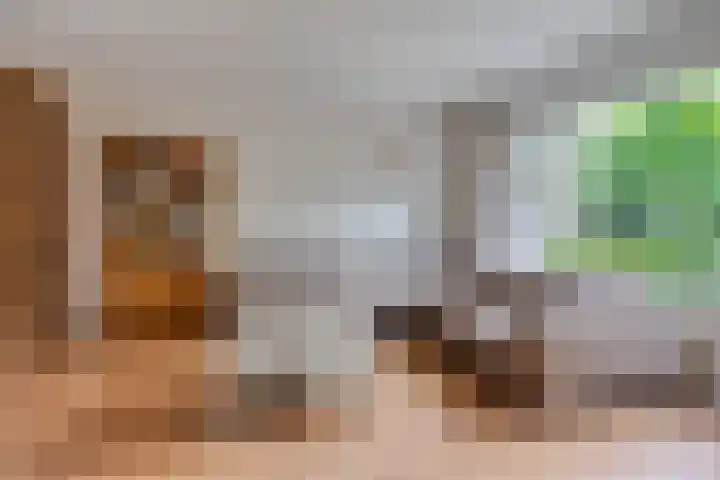 Koekamp 88 Delft thumbnail 8