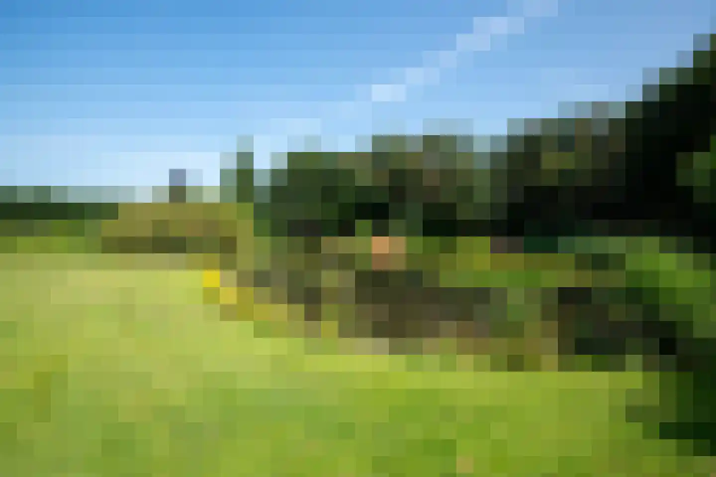 Koekamperweg 16 Putten thumbnail 37