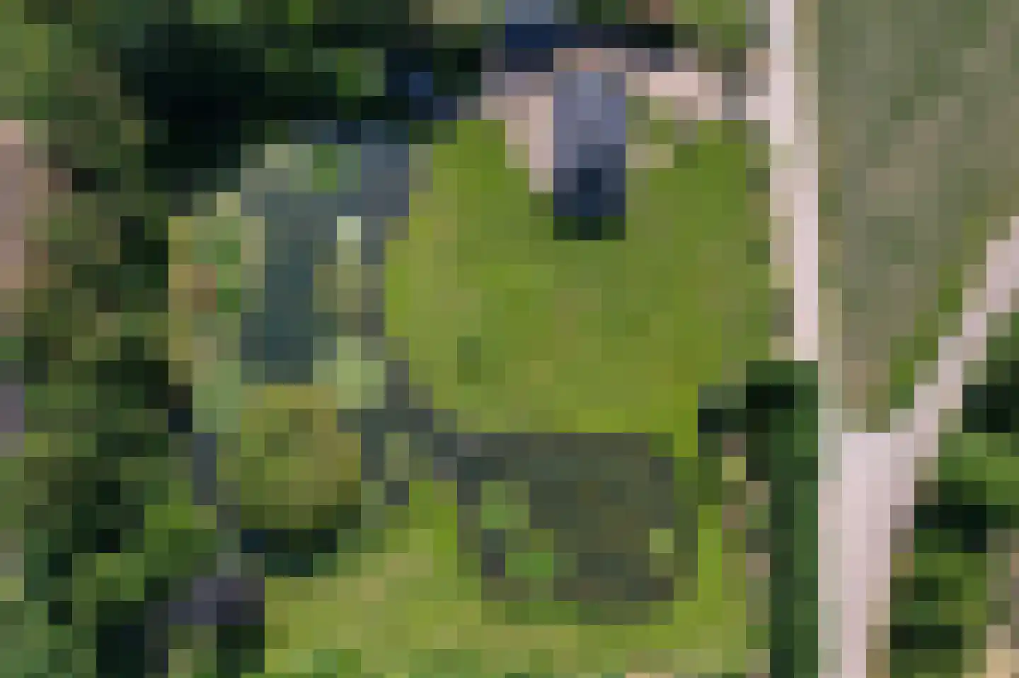 Koekamperweg 16 Putten thumbnail 49