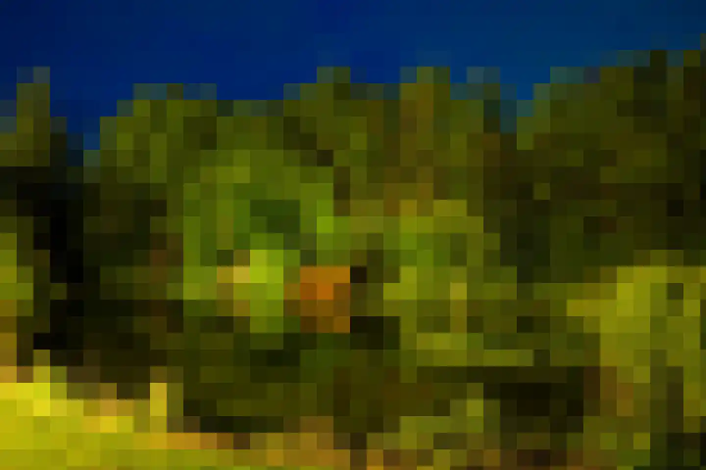 Koekamperweg 16 Putten thumbnail 6