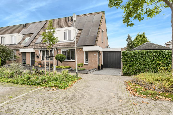 Koekoeksbloem 2 in Breda foto