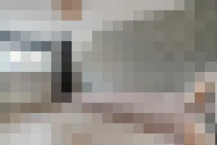 Koekoeksbloem 2 Hardenberg thumbnail 21