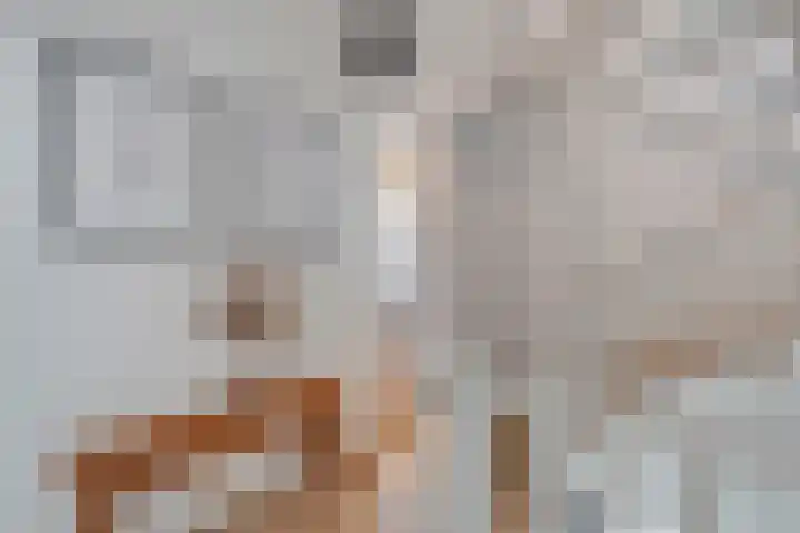Koekoeksbloem 2 Hardenberg thumbnail 23