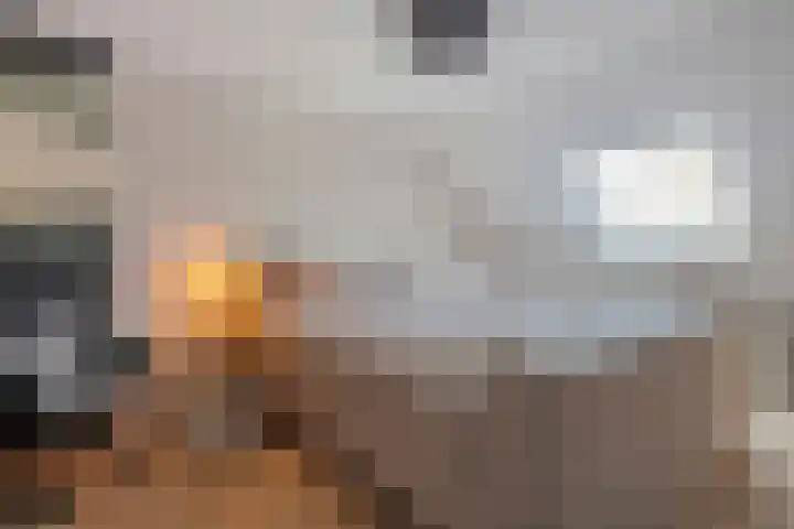 Koekoeksbloem 2 Hardenberg thumbnail 27