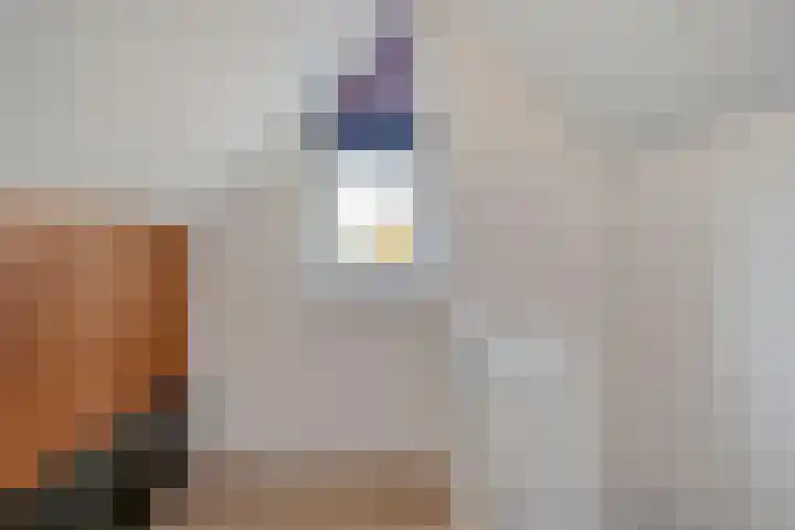 Koekoeksbloem 2 Hardenberg thumbnail 31