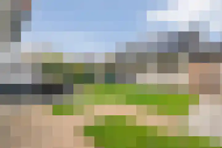 Koekoeksbloem 2 Hardenberg thumbnail 38