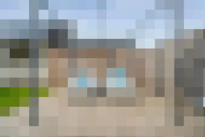 Koekoeksbloem 2 Hardenberg thumbnail 42