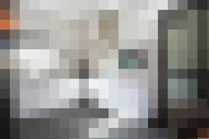 Koekoeksbloem 61 Eijsden thumbnail 17