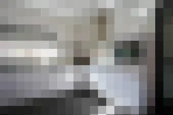 Koekoeksbloem 61 Eijsden thumbnail 18