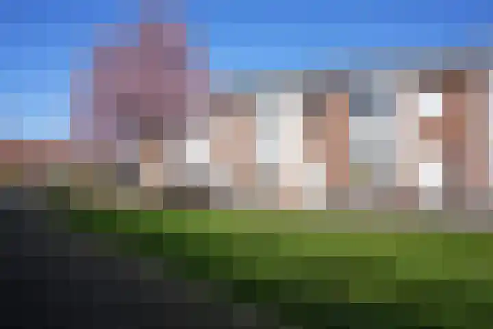 Koekoeksbloem 61 Eijsden thumbnail 41