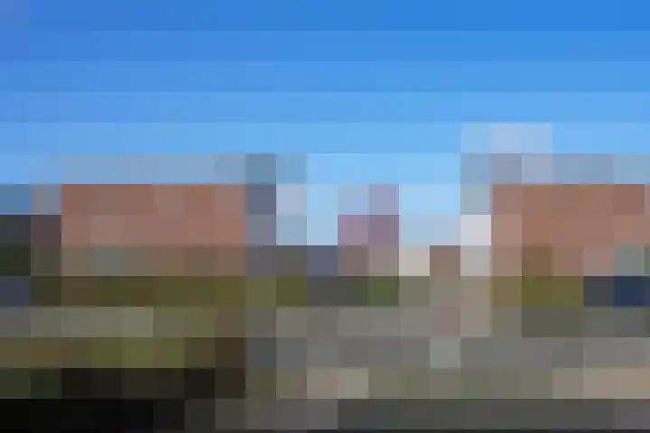 Koekoeksbloem 61 Eijsden thumbnail 42