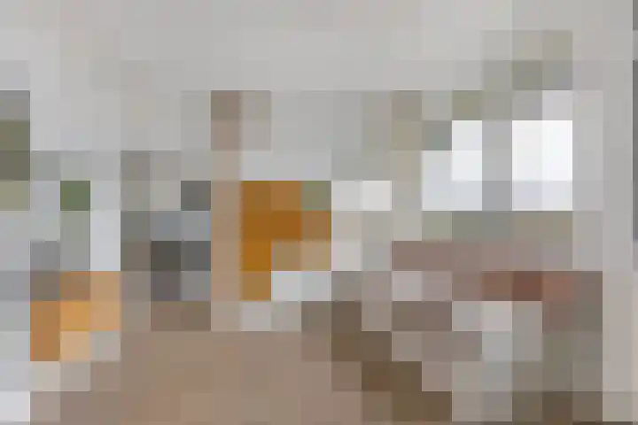 Koekoekstraat 42 Leiderdorp thumbnail 17