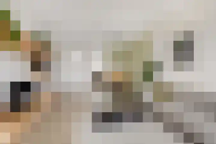 Koekoekstraat 42 Leiderdorp thumbnail 6