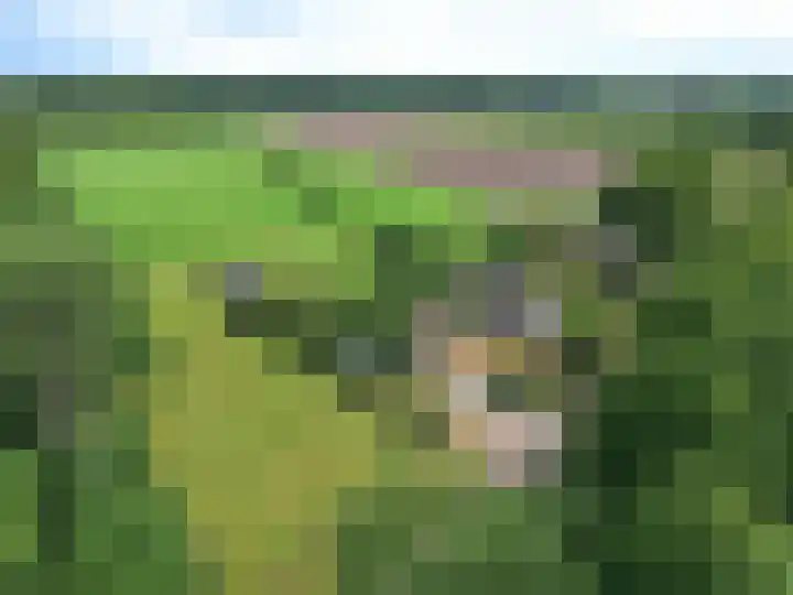 Koekoeksweg 14 Dwingeloo