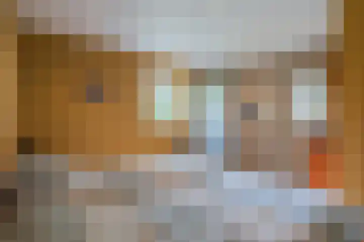 Koekoeksweg 14 Dwingeloo thumbnail 21