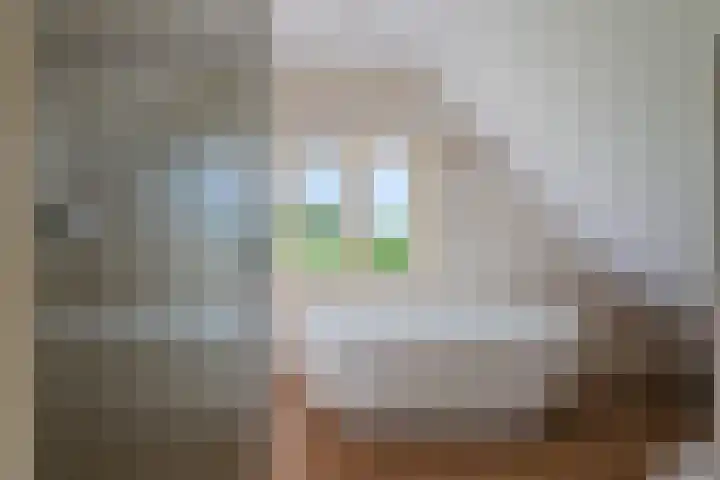 Koekoeksweg 14 Dwingeloo thumbnail 27