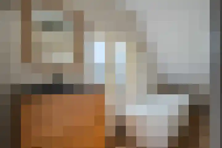 Koekoeksweg 14 Dwingeloo thumbnail 29